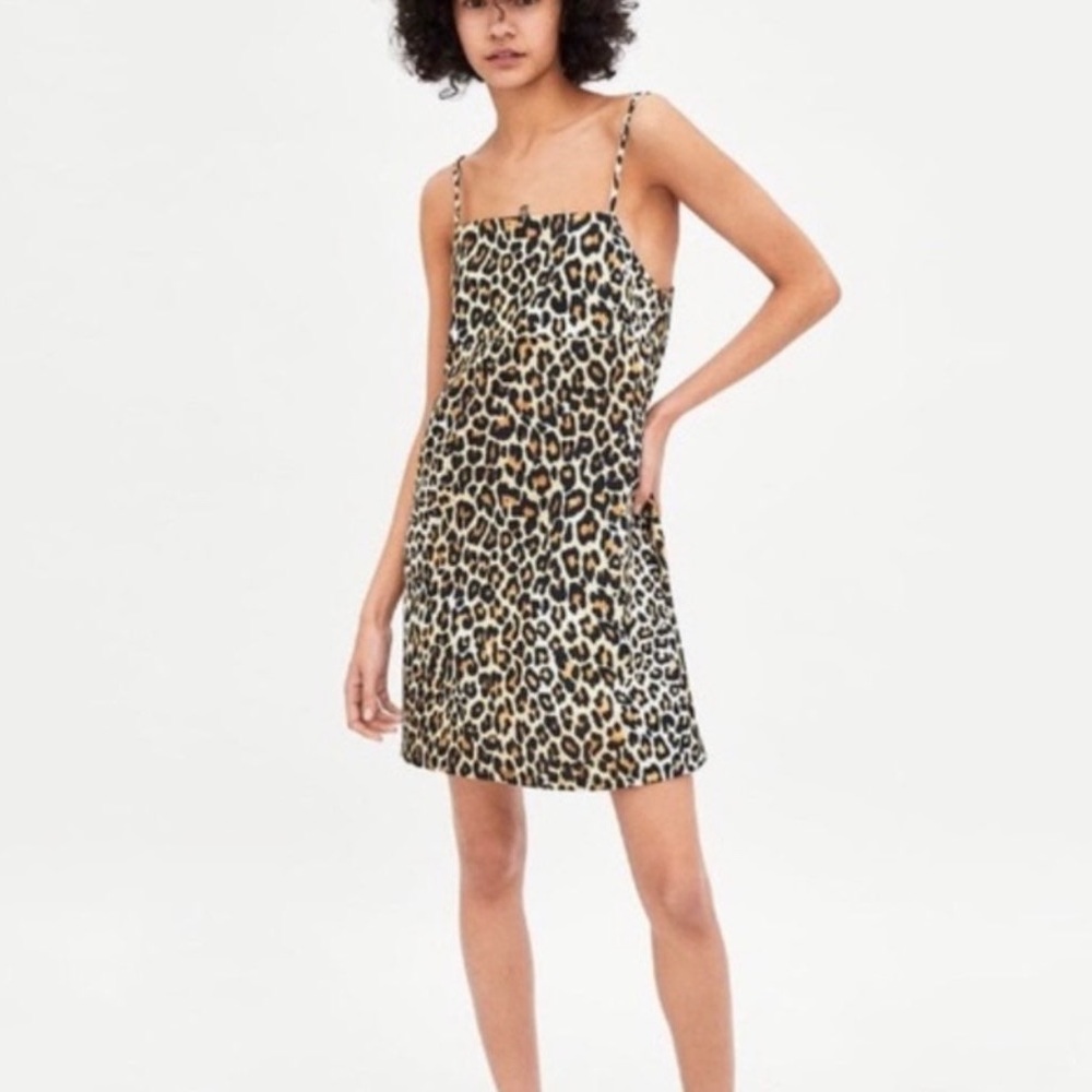 ZARA Trafaluc Cheetah Print Dress